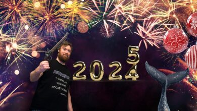 Poslední stream 2024