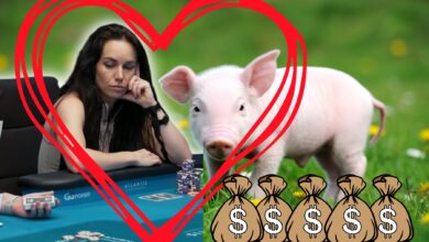 Liv Boeree pomáhá prasátkům