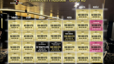 Program listopad