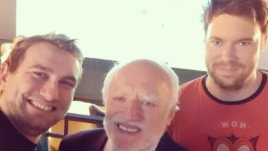Hide the Pain Harold